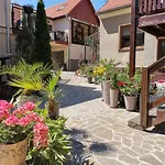 Aranka Žatec