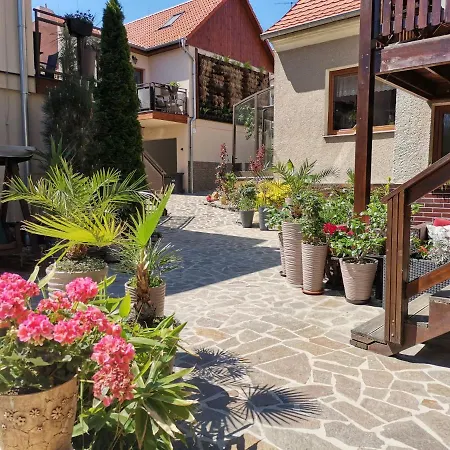 Aranka Žatec